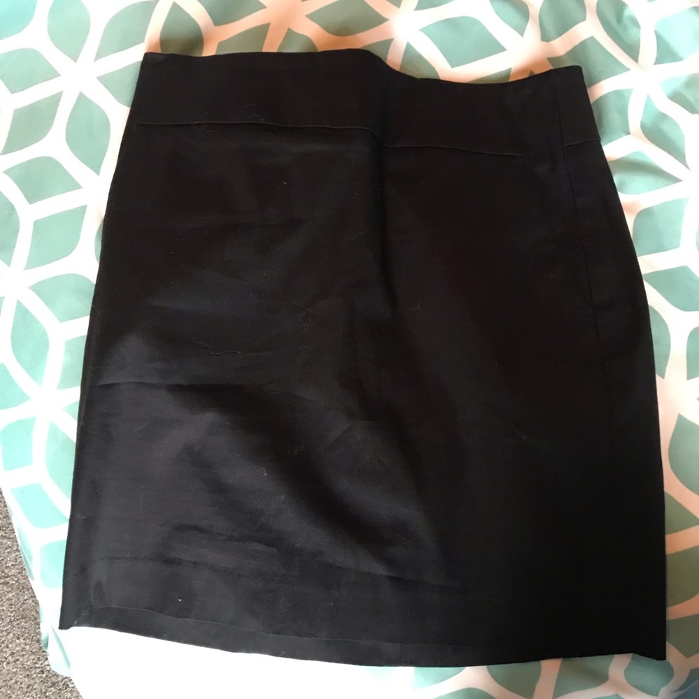 Ann Taylor Skirt